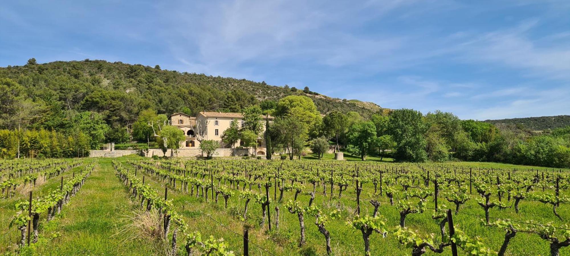 La Bastide De Peyremale, Gites En Cevennes, Piscine, Tennis Bagard المظهر الخارجي الصورة